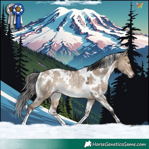 Horse Color:White Spotted Brown Dun Rabicano 
