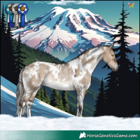 Horse Color:White Spotted Brown Dun Rabicano 