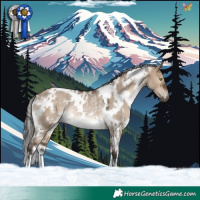 Horse Color:White Spotted Brown Dun Rabicano