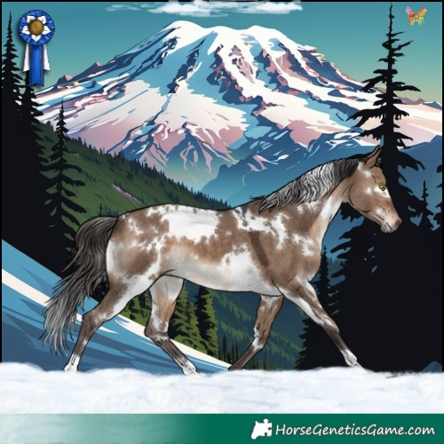 Horse Color:White Spotted Brown Dun