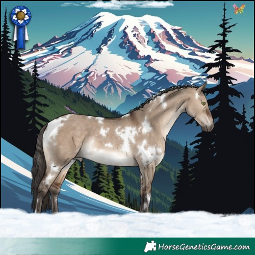 Horse Color:White Spotted Brown Dun Rabicano 