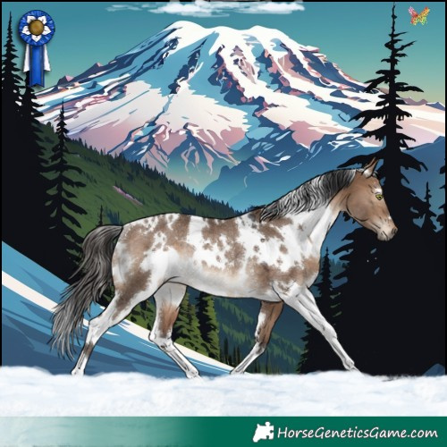 Horse Color:White Spotted Brown Dun Rabicano 