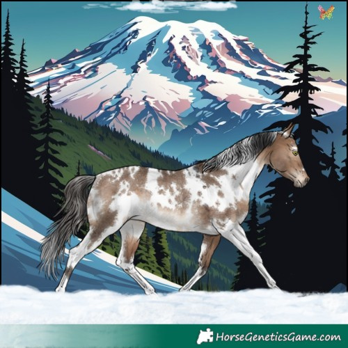 Horse Color:White Spotted Brown Dun Rabicano 