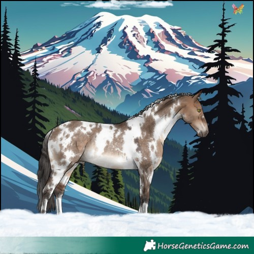 Horse Color:White Spotted Brown Dun Rabicano 