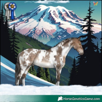 Horse Color:White Spotted Brown Dun Rabicano 