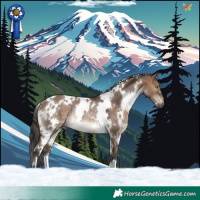 Horse Color:White Spotted Brown Dun Rabicano 