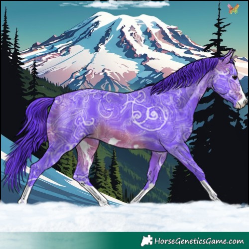 Horse Color:Watercolor Brown Ice 