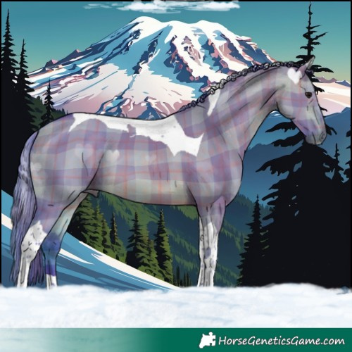 Horse Color:Watercolor Plaid  Brown Dun Tobiano 