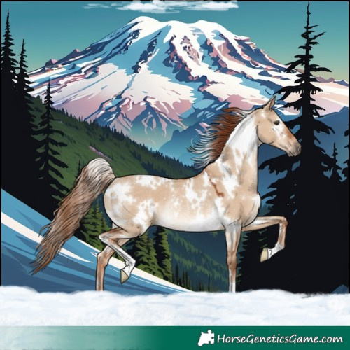 Horse Color:White Spotted Red Dun Rabicano 