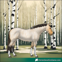Horse Color:Buckskin Roan Dun Tobiano