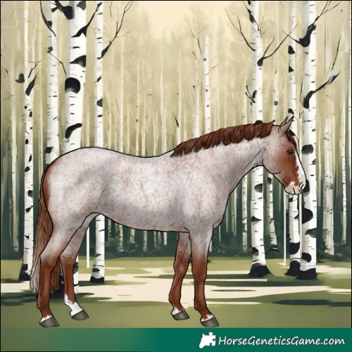 Horse Color:Red Roan Splash 
