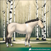 Horse Color:Buckskin Roan Dun Tobiano 