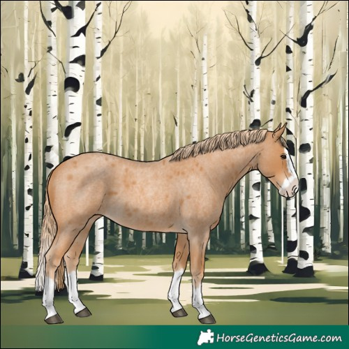 Horse Color:Red Roan Splash