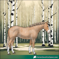 Horse Color:Red Roan Splash 