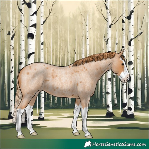 Horse Color:Red Roan Splash