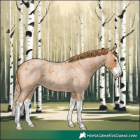 Horse Color:Red Roan Splash