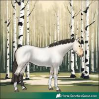 Horse Color:Buckskin Roan Dun Tobiano 
