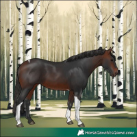 Horse Color:Bay Tobiano Rabicano 