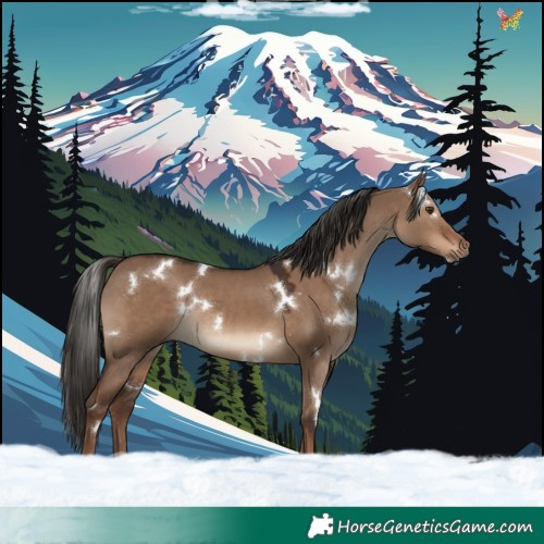 Horse Color:White Spotted Liver Red Dun Rabicano 