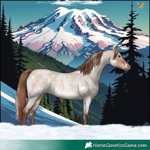 Horse Color:White Spotted Liver Red Dun Roan Rabicano 