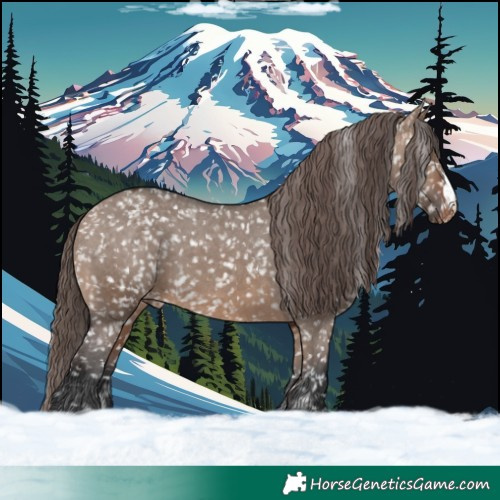 Horse Color:Brown Dun Appaloosa 