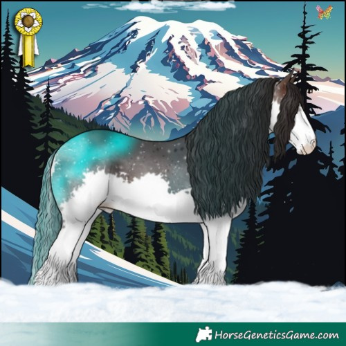 Horse Color:Brown Splash 
