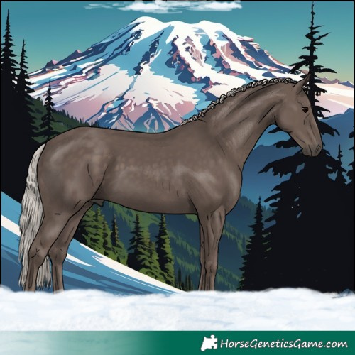 Horse Color:Silver Black 