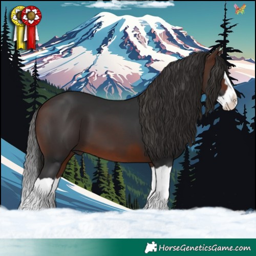 Horse Color:Brown Splash 