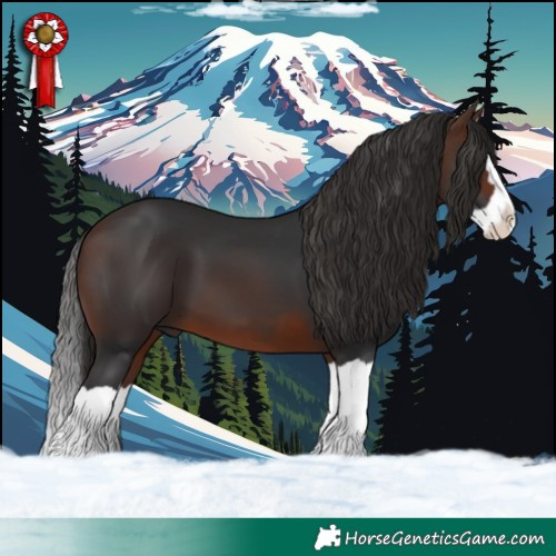 Horse Color:Brown Splash 