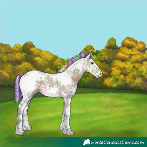 Horse Color:Painted Watercolor White Spotted Silver Black Ice 