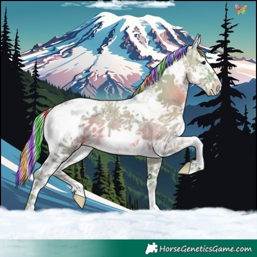 Horse Color:Painted Watercolor White Spotted Silver Black Ice 