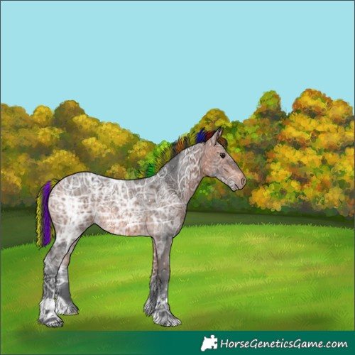Horse Color:Painted Bay Ice