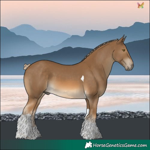 Horse Color:Chocolate Palomino Tobiano 