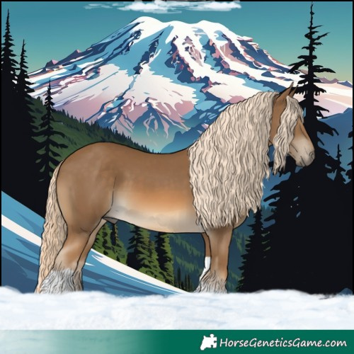 Horse Color:Chocolate Palomino Tobiano