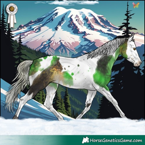 Horse Color:Silver Buckskin Splash Tobiano 