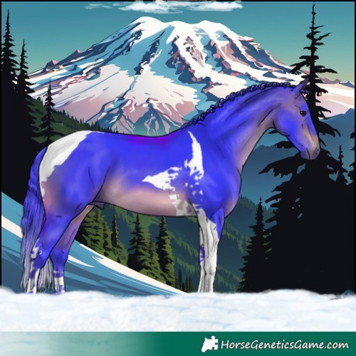 Horse Color:Watercolor Brown Tobiano 