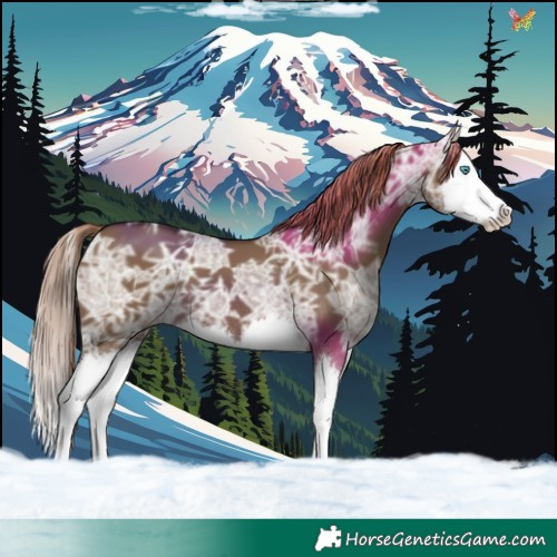 Horse Color:Liver Red Dun Ice Splash 