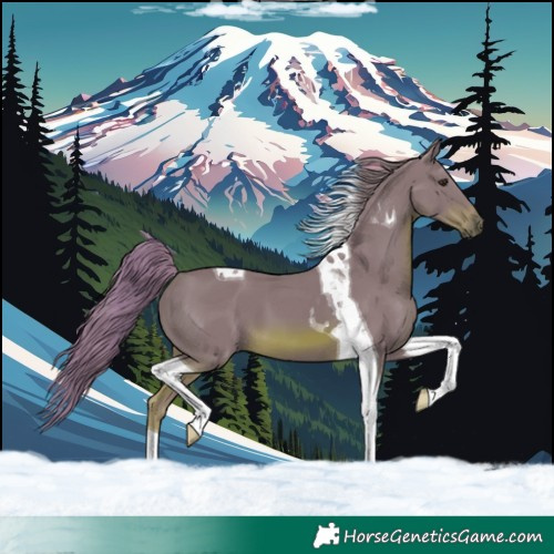 Horse Color:Watercolor Chestnut Tobiano