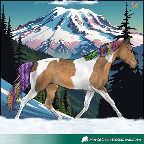 Horse Color:Painted Chocolate Palomino Mushroom Tobiano 