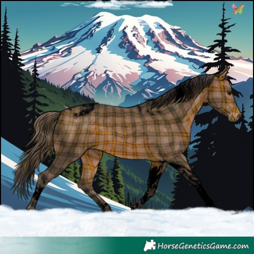 Horse Color:Void Plaid  Bay Tobiano 