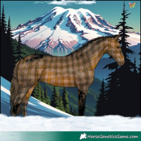 Horse Color:Void Plaid Bay Tobiano