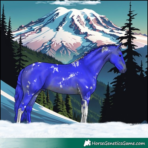 Horse Color:Watercolor White Spotted Brown Tobiano 