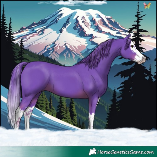 Horse Color:Watercolor Liver Chestnut Splash 