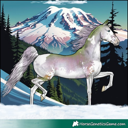 Horse Color:Watercolor Chocolate Palomino Onyx Splash Tobiano 