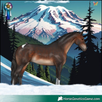 Horse Color:Brown Tobiano 