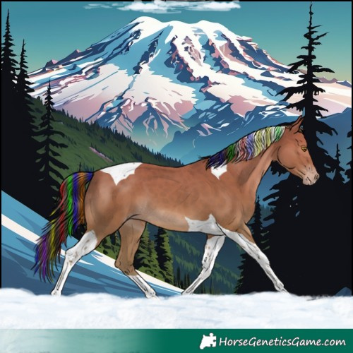 Horse Color:Painted Classic Champagne Tobiano 