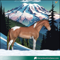 Horse Color:Painted Classic Champagne Tobiano 