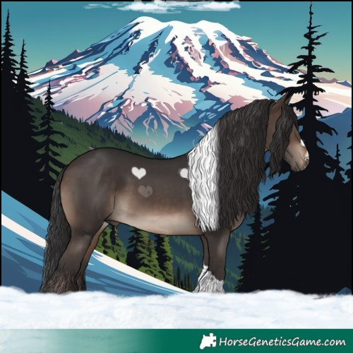 Horse Color:Brown Tobiano 