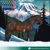 Horse Color:Brown Tobiano 