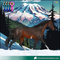 Horse Color:Brown Tobiano
